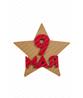 Декорация на День Победы "Звезда 9 МАЯ"